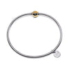 Cape Cod Lifestyle - Twist Wire Sterling Silver Bracelet with a 14K Gold Screw Ball