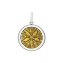 Sand Dollar