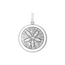 Sand Dollar