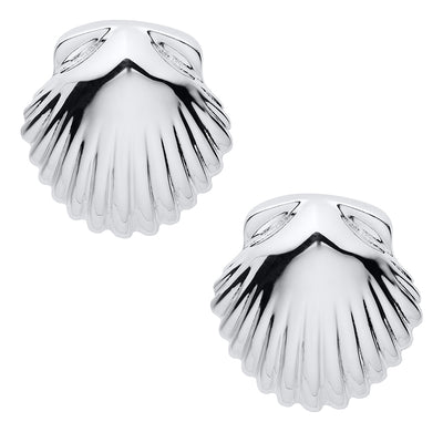 Scallop Shell Stud Earrings