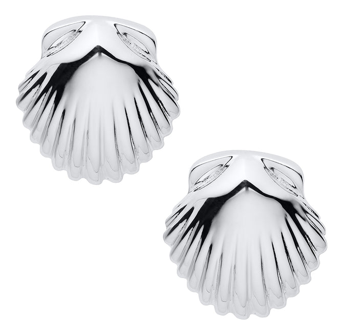 Scallop Shell Stud Earrings