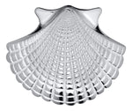 Scallop Shell Necklace