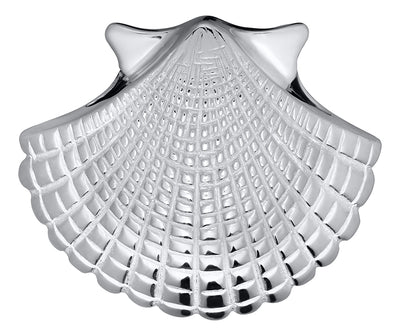 Scallop Shell Necklace