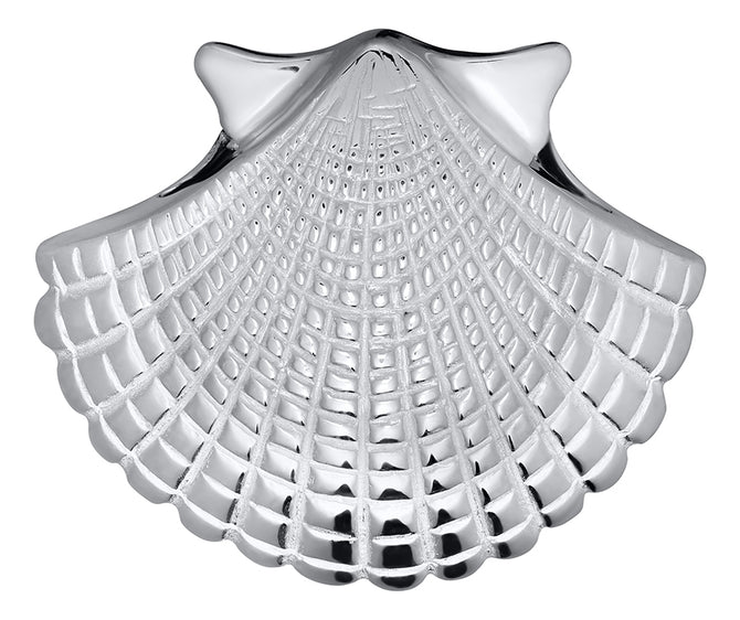 Scallop Shell Necklace
