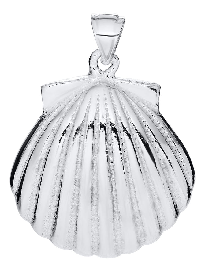 Scallop Shell Necklace