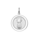 Pineapple Silver