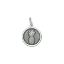 Pineapple Silver